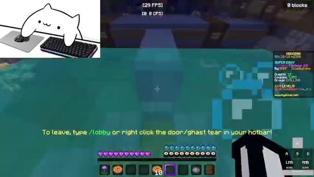 Bongo cat plays MC parkour for 33 mins смотреть онлайн