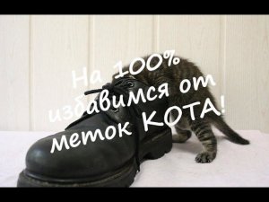 На 100% ИЗБАВИМСЯ от меток КОТА!