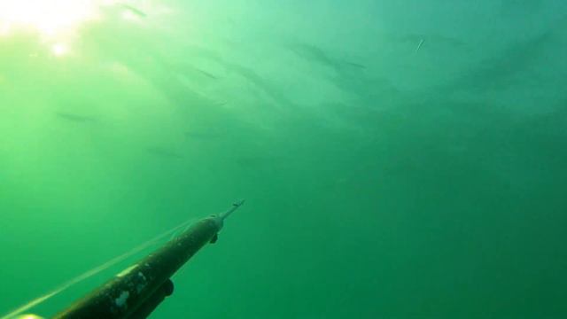 Подводная охота май 17_05_2014 GoPro Hero 2 смотреть онлайн