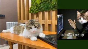 meme от подписчиков а нука давай-ка часть 4