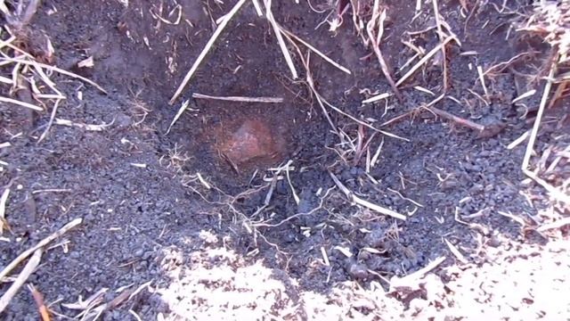 Металлокоп с MD4030.Сколько я заработал денег?