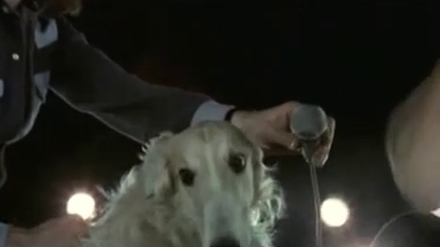 Pink Floyd Live At Pompeii - Mademoiselle Nobs.