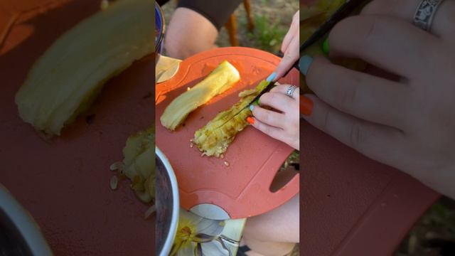 Аджапсандал - холодный  салат из запеченных овощей