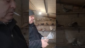 Для Вовы с Покровское Днепропетровская область