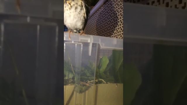 Это когда-то у нас было... смотреть онлайн