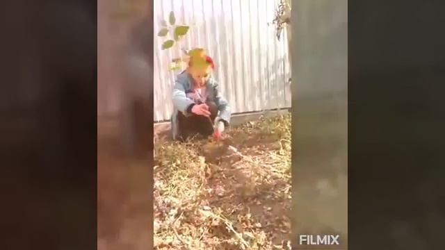 экологический квест "Природа- наш общий дом" смотреть онлайн