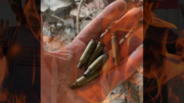 Ролик группы 