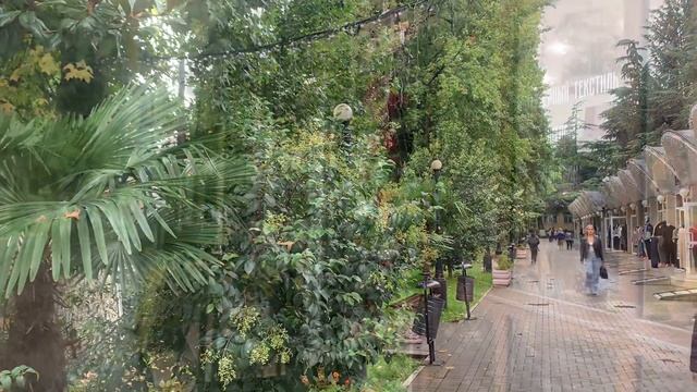 СОЧИ сегодня / АДЛЕР / ХОСТА / октябрь смотреть онлайн