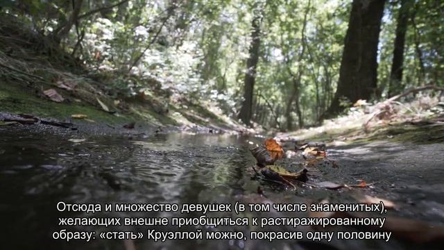 В моду вошло окрашивание волос «в стиле Круэллы» смотреть онлайн