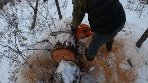 Заготавливаем валежник на дрова