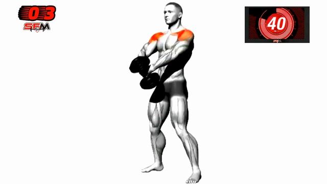 Omuz Antrenmanı Dambıl İle Omuz Antrenmanı Evde Omuz Kası Çalış смотреть онлайн