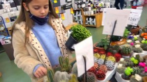 Настя готовится к НОВОМУ ГОДУ наряжает Ёлку My little Nastya