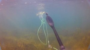 Подводная охота на лобана, кефаль. The best moments