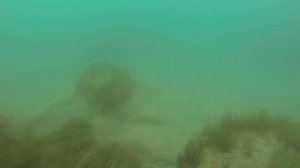 охота в шторм.  туапсинский район.