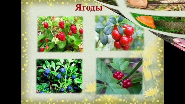 Лес - наше богатство! смотреть онлайн