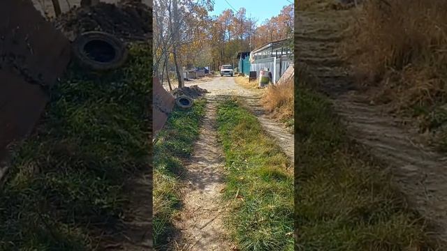 История спасения у стен приюта смотреть онлайн