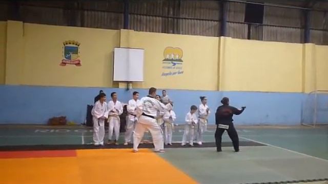 Taekwondo - Academia Phoenix Suzanne Dias смотреть онлайн