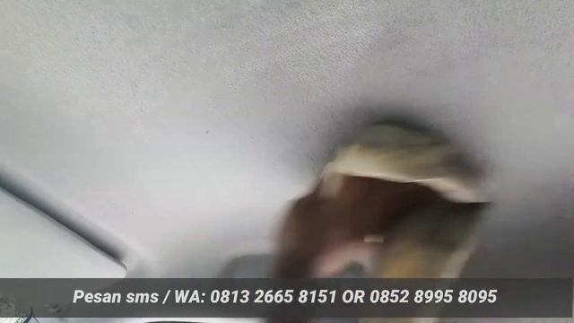 Cairan Ajaib Pembersih Plafon Mobil, Daihatsu, Toyota, Suzuki, Chevrolet, Honda, Mazda смотреть онлайн