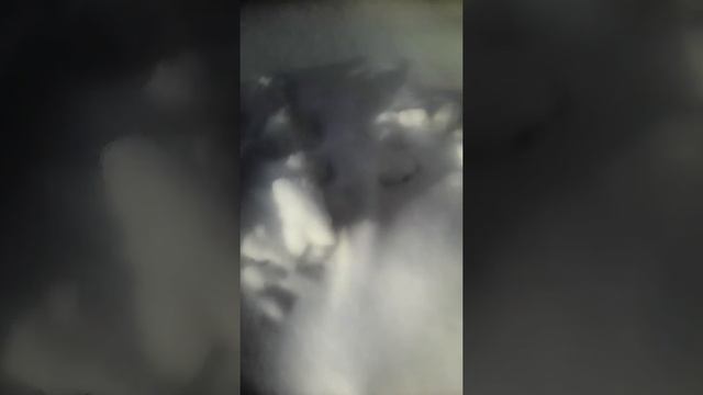 Красота в селе стромынь смотреть онлайн