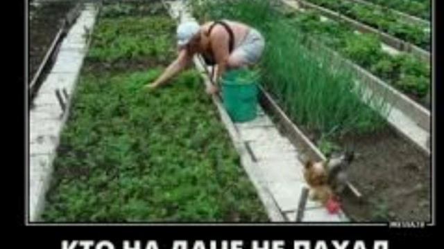 прикольные картинки про дачу смотреть онлайн