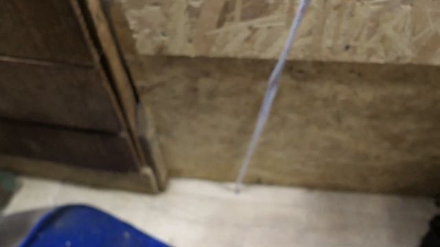 #ЧИХУАХУА ТАК МОЖЕТ только НАСТОЯЩИЙ ЛЕВ ! 30/10/2022 #продаю_щенков_чихуа +7 921 595 08 48 смотреть онлайн