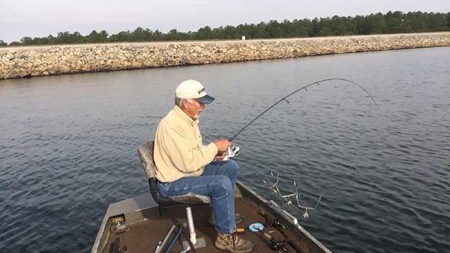 Gulp Shrimp and Light Tackle Equals Big Cats: Video 2 of the Day смотреть онлайн