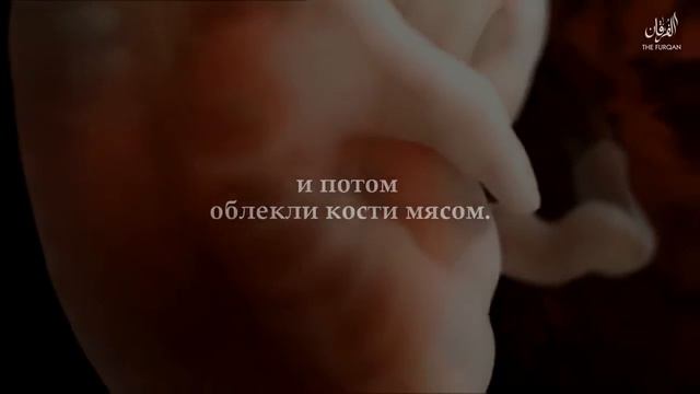 #Коран о сотворении человека#куг смотреть онлайн