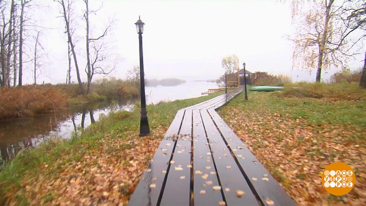 Осень? Прекрасно! Доброе утро. Фрагмент выпуска от 28.10.2022 смотреть онлайн