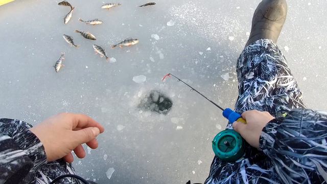 Ловля Окуня по первому льду!!! 2021г. смотреть онлайн