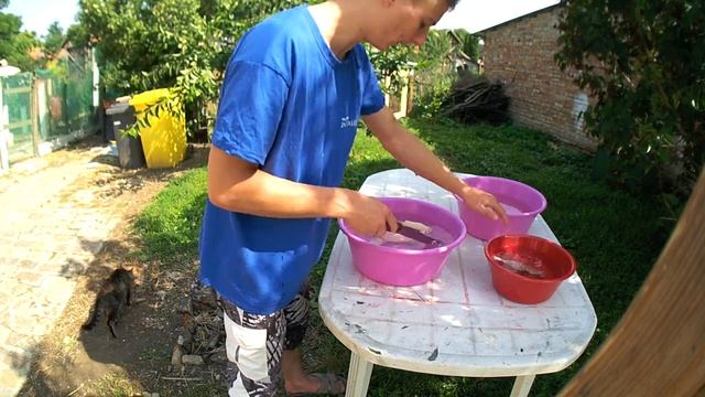 Életem Első Csirkevágása