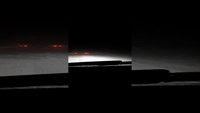 Пурга в Питере