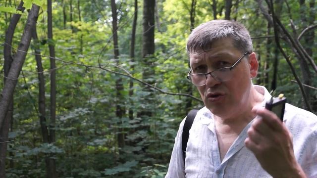 Какие рации лучше работают в лесу и почему смотреть онлайн