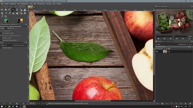Gimp | Инструменты и способы выделения | Урок 2 смотреть онлайн