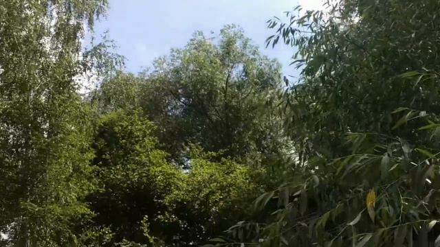 База отдыха Лукоморье город Орел-2 смотреть онлайн