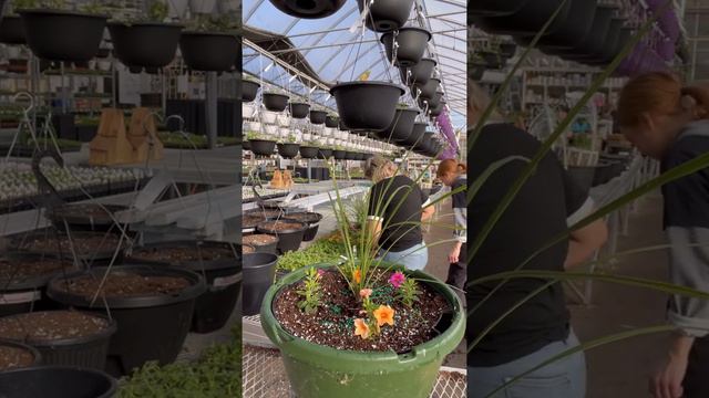 Planting Tutorial: Rainbow 🌈 Hummingbird Baskets смотреть онлайн