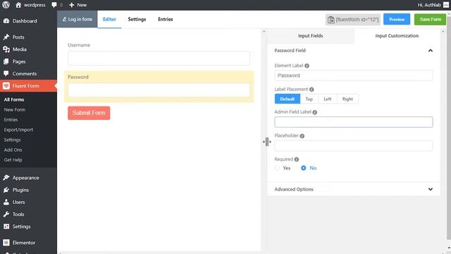 Password Input Field in WP Fluent Form WordPress Plugin смотреть онлайн