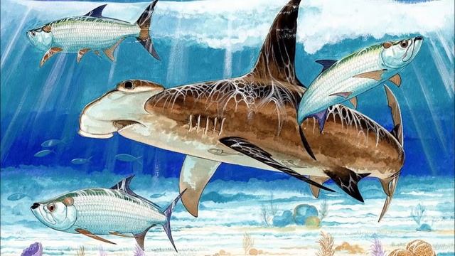 СЛУШАТЬ СКАЗКУ "АКУЛА И ЧЕРЕПАХА" смотреть онлайн