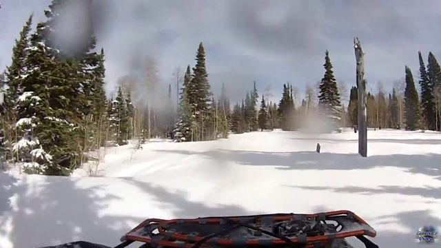 Can Am 1000 MAX on Tracks Spring Rid'in 05 Feb 2015 смотреть онлайн