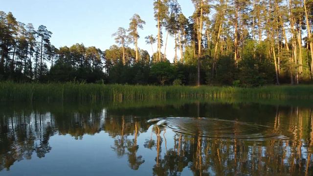 Охота за чомгой, Лебяжьи озёра смотреть онлайн