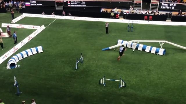 Станислав Курочкин. Чемпион Мира по Аджилити 2019 года смотреть онлайн