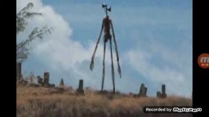 Звуки сирена головова