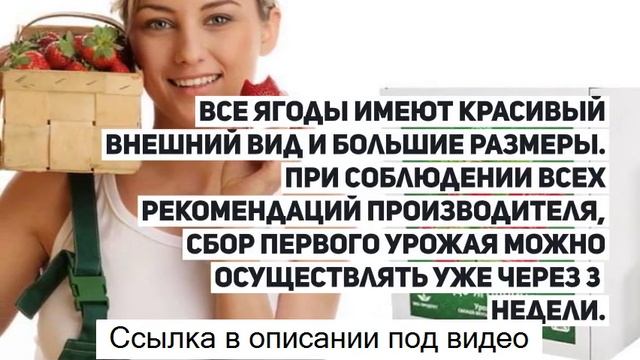 Чудо ягодница сказочный сбор клубника - чудо ягодница - сказочный сбор. смотреть онлайн