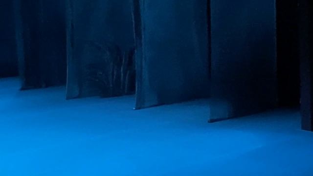 ЖИЗЕЛЬ, ГАБТ, 2022