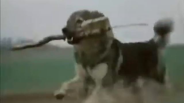 думай прежде чем сделать... смотреть онлайн