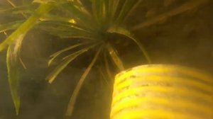 8 .Углубление берега озера с помощью самодельного эжектора