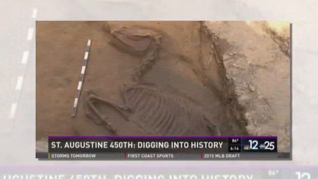 Entire horse skeleton found in archaeological dig смотреть онлайн