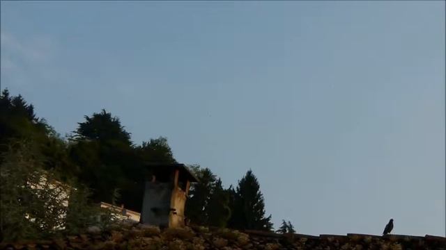 Il cielo dei nostri Padri di Salvatore Messina Sonoro del Maestro Franz Vaxman Taras Bulba смотреть онлайн