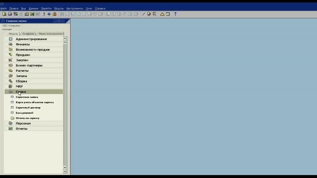 SAP Business One Russian Client Interface Demo and Options for Multinational Company смотреть онлайн