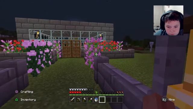 Chubbin's SMP смотреть онлайн