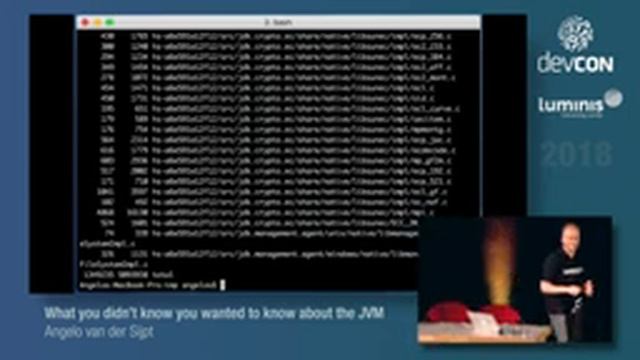What you didn’t know you wanted to know about the JVM - Angelo van der Sijpt [Luminis DevCon 2018] смотреть онлайн